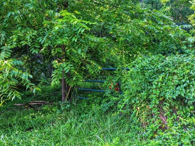 Land for sale in Jonesborough, East Tennessee