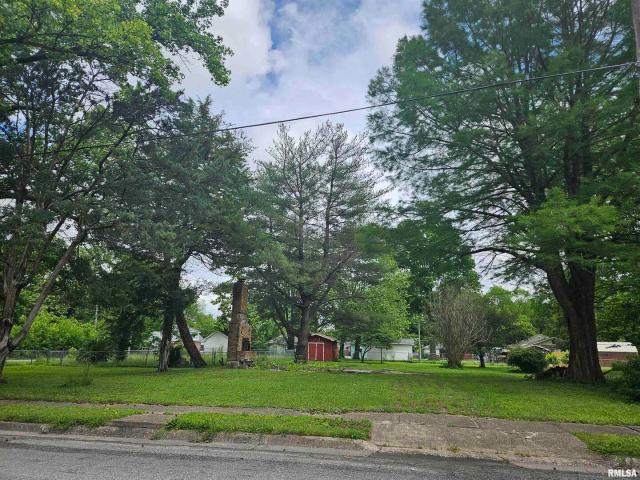 Land for sale in Benton, Illinois