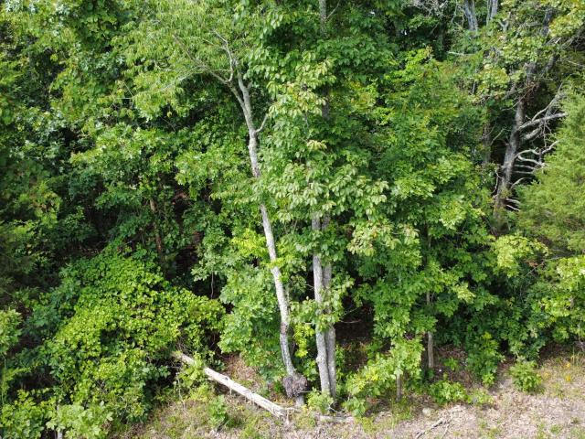 Land for sale in West Plains, Missouri