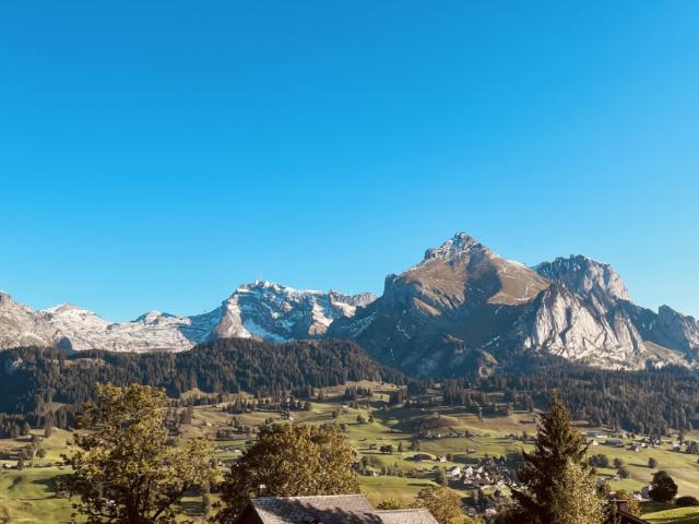 Grundstück kaufen in Wildhaus-Alt St. Johann, St. Gallen