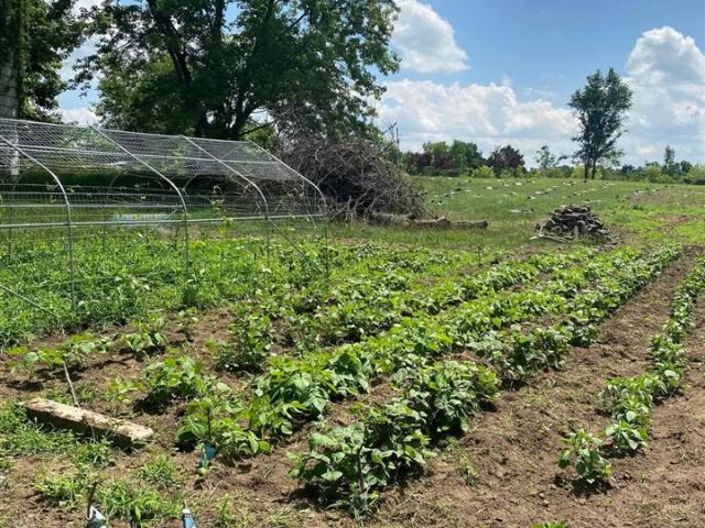 House for sale in Hillsdale, Michigan