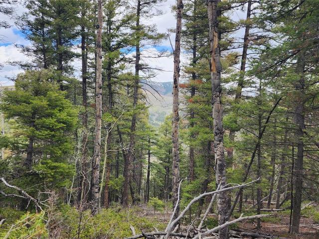 Land for sale in Colorado