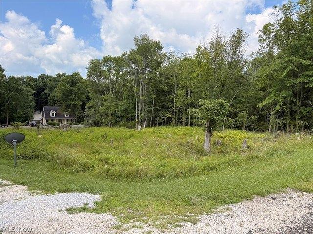 Land for sale in Malvern, Ohio