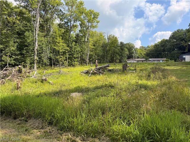Land for sale in Malvern, Ohio