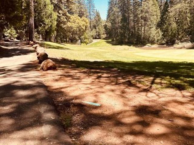 House for sale in Murphys, California