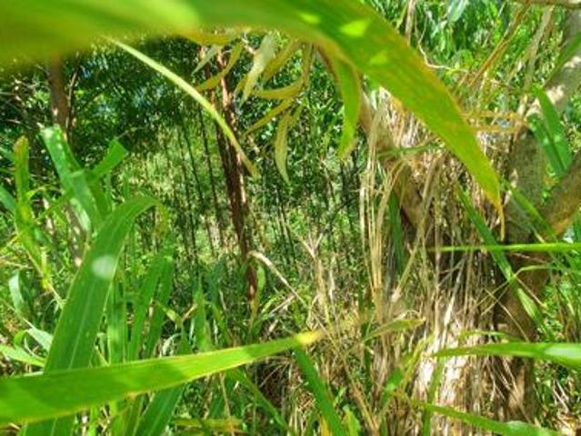 Land for sale in Ugu District Municipality, Kwazulu-natal