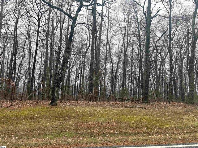 Land for sale in Landrum, South Carolina