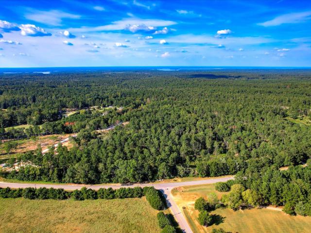 Land for sale in Appling, Georgia