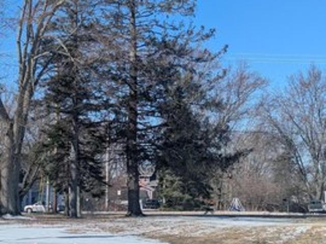Land for sale in Askov, Minnesota