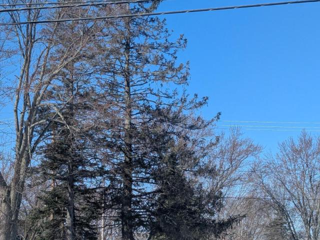 Land for sale in Askov, Minnesota