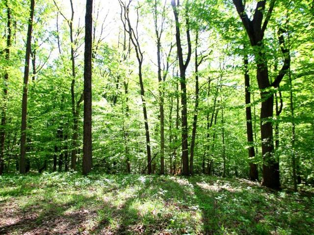 Land for sale in Nineveh, Indiana