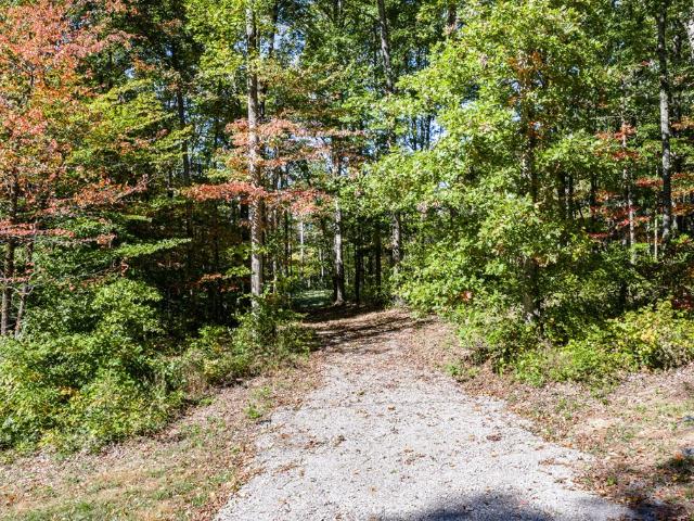 Land for sale in Tennessee