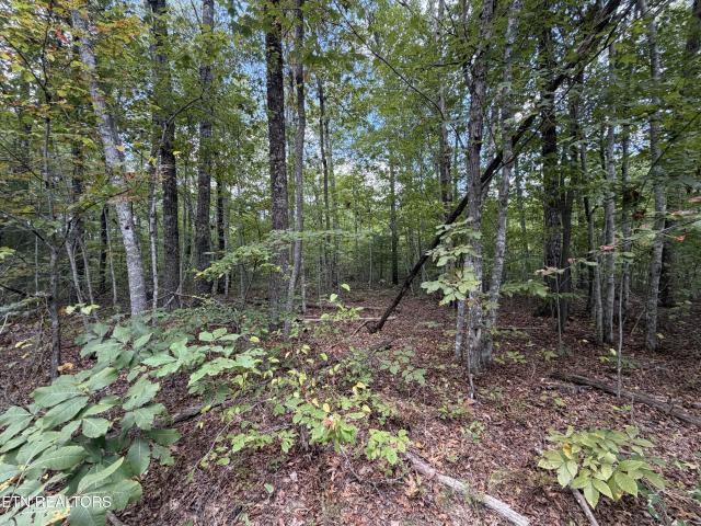 Land for sale in Jamestown, Middle Tennessee