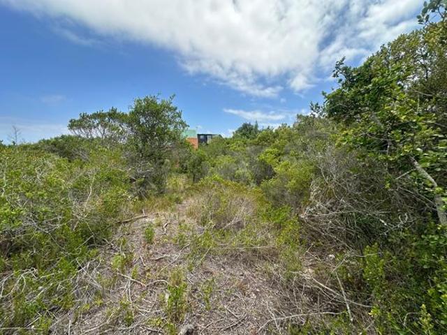 Land for sale in Eastern Cape