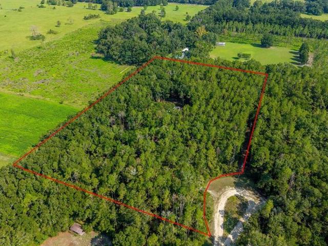 Land for sale in Bell, Florida