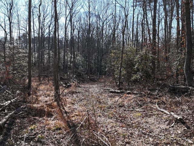 Land for sale in Benedict, Maryland