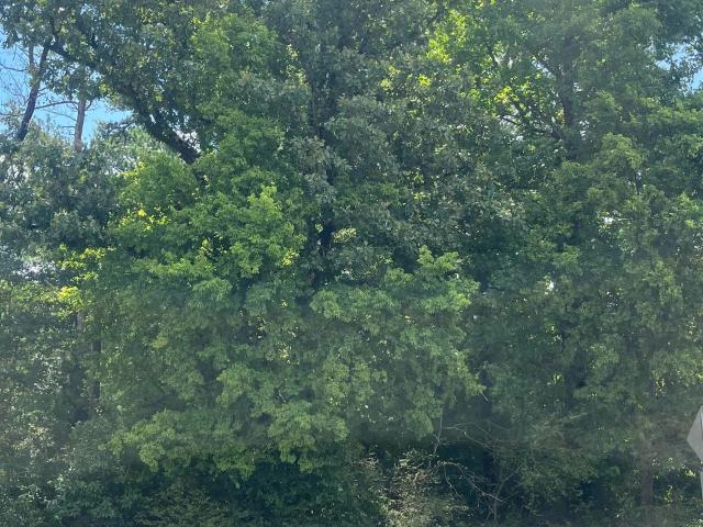 Commercial for sale in Calera, Alabama