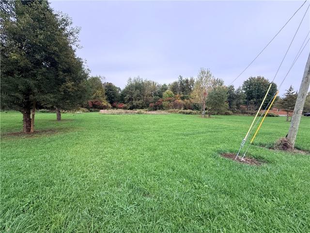 Land for sale in Town of Wolcott, Wayne County