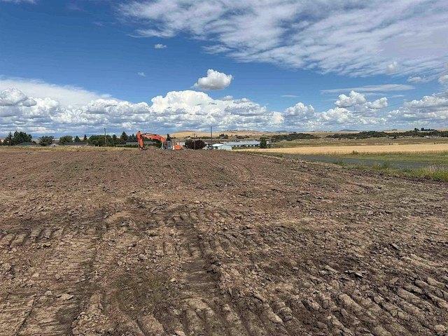 Land for sale in Reardan, Washington