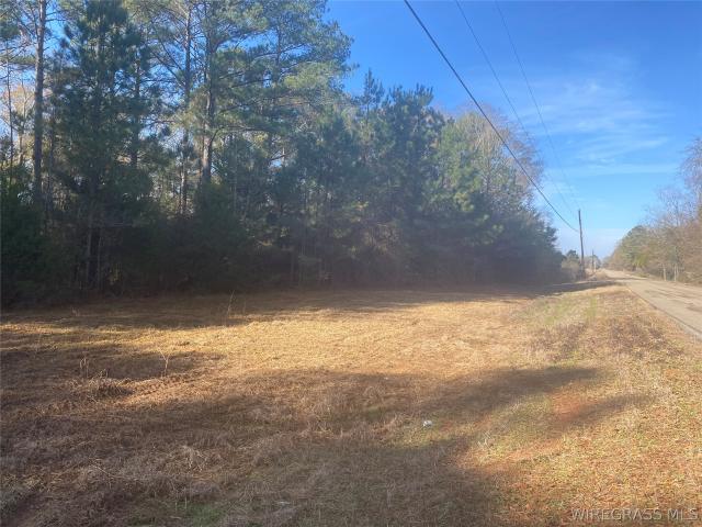 Land for sale in Geneva, Alabama