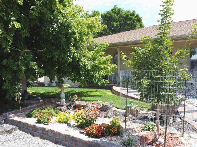 House for sale in Cedaredge, Colorado