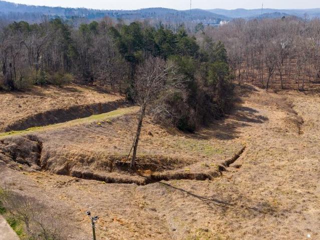 Land for sale in Dahlonega, Georgia