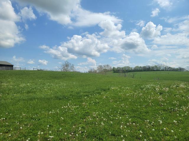 Land for sale in Stamping Ground, Kentucky