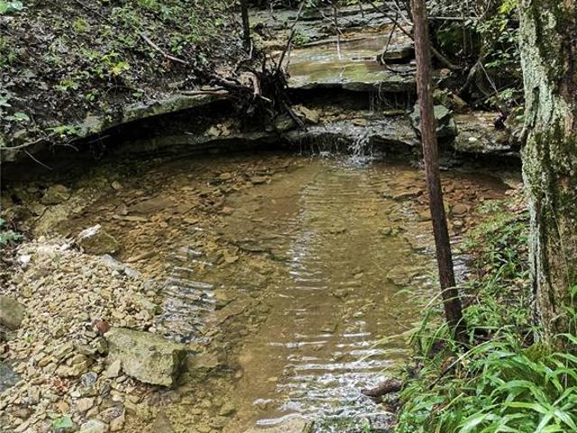 Land for sale in Morse Mill, Missouri