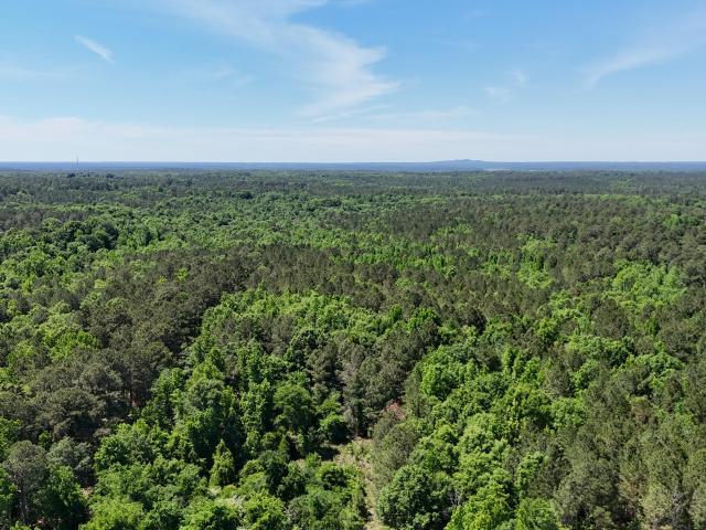 Land for sale in Appling, Georgia