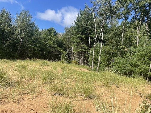 Land for sale in Hart, Michigan