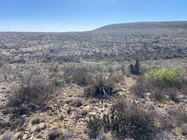 Land for sale in Texas