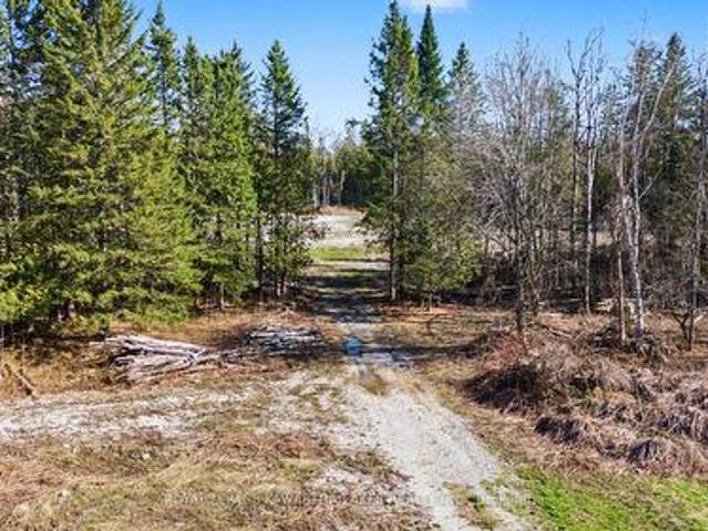Land for sale in Kawartha Lakes, Ontario