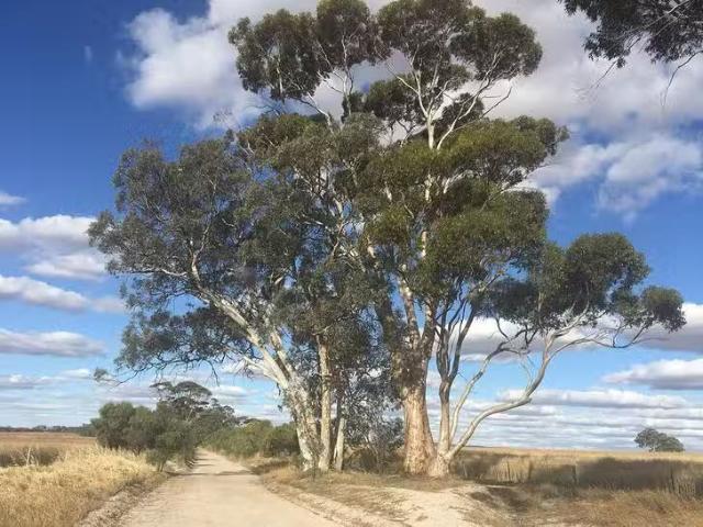 House for rent in Youndegin, Western Australia