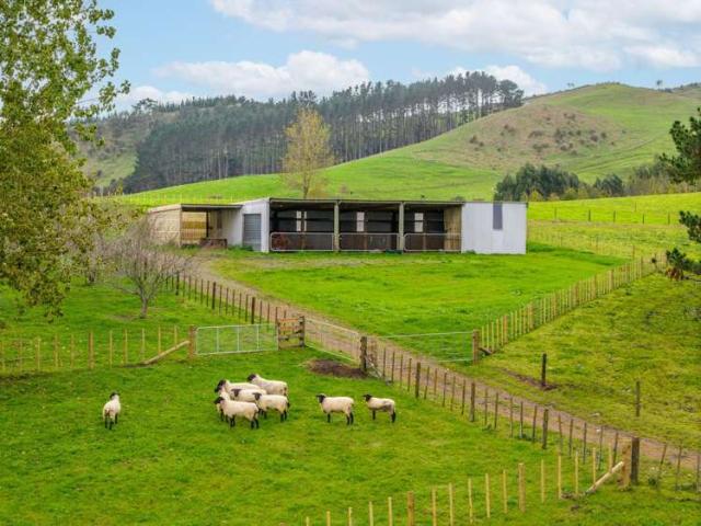Property for sale in Maramarua, Waikato