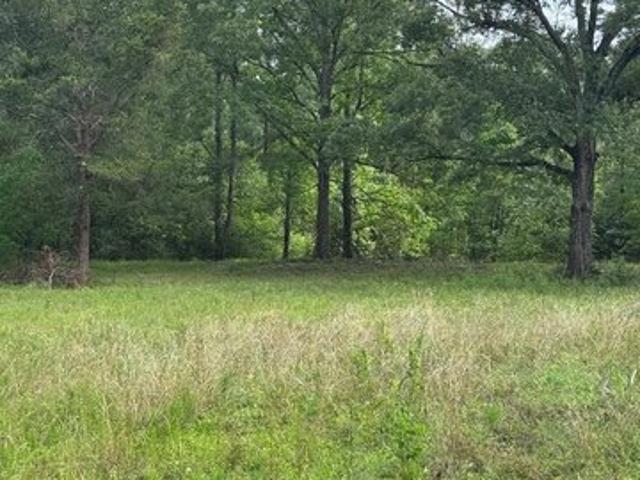 Farm for sale in Walker, Texas