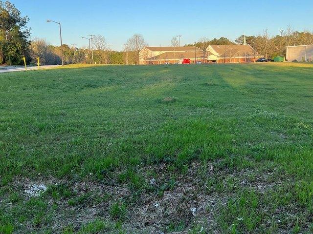 Land for sale in Box Springs, Georgia