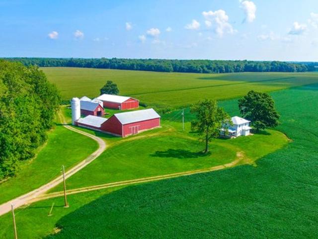 Land for sale in Ridgeway, Hardin County