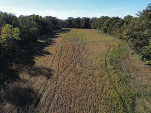 Farm for sale in Benton, Illinois