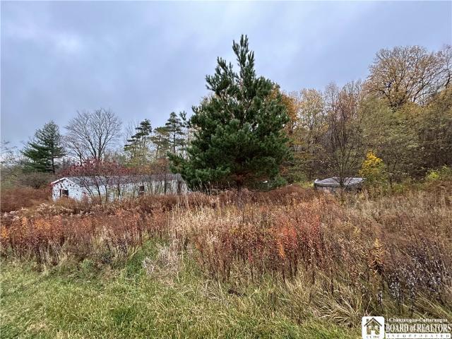 Land for sale in Ripley, New York
