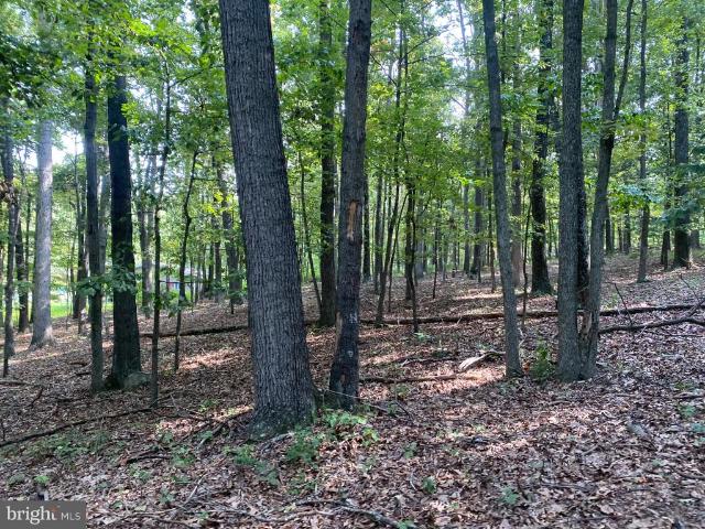 Land for sale in Hampshire County, West Virginia
