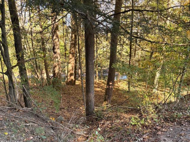 Land for sale in Village of East Nassau, Town of Nassau