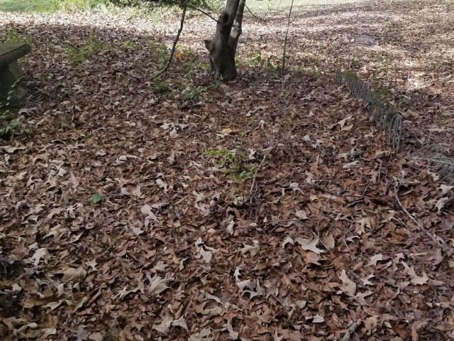 House for sale in Mays Bend, Pell City