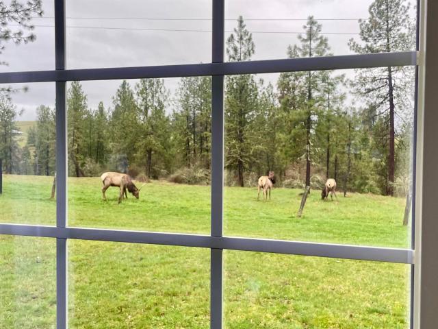 House for sale in Kooskia, Idaho