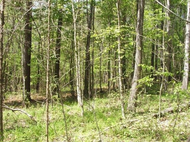 Land for sale in Virginia
