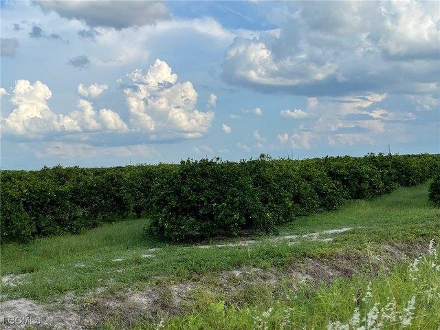 Land for sale in Labelle, Florida
