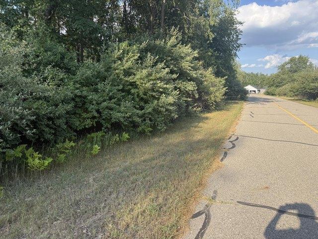 Land for sale in Stanwood, Michigan