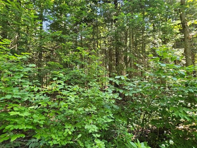 Land for sale in Martinsburg, New York
