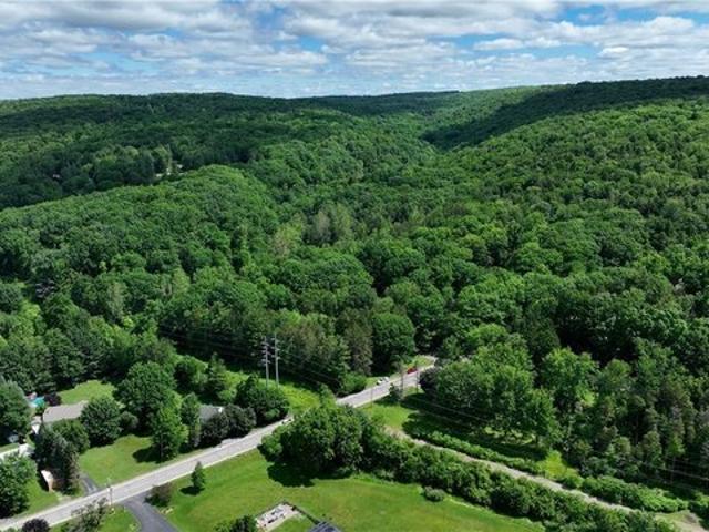 Land for sale in Colden, New York
