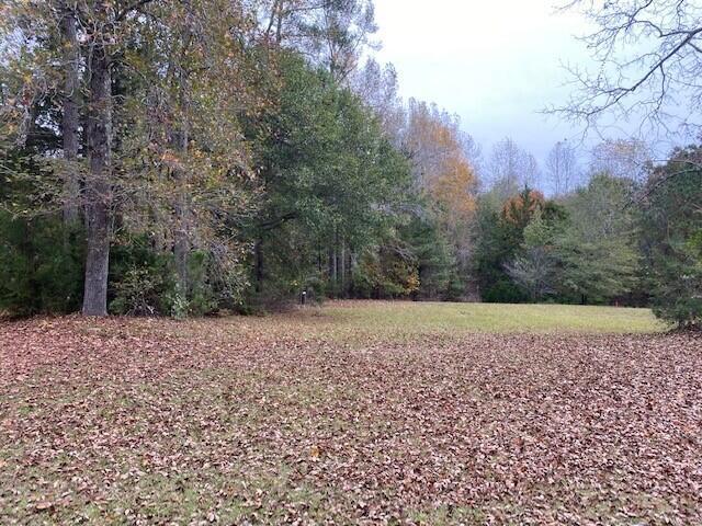 Land for sale in Appling, Georgia