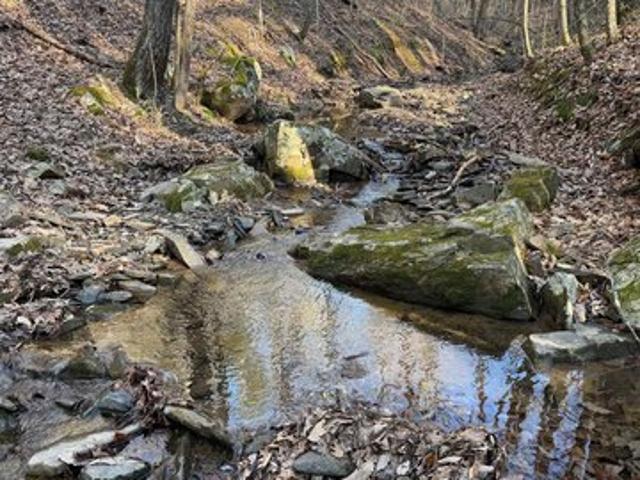 Land for sale in Virginia